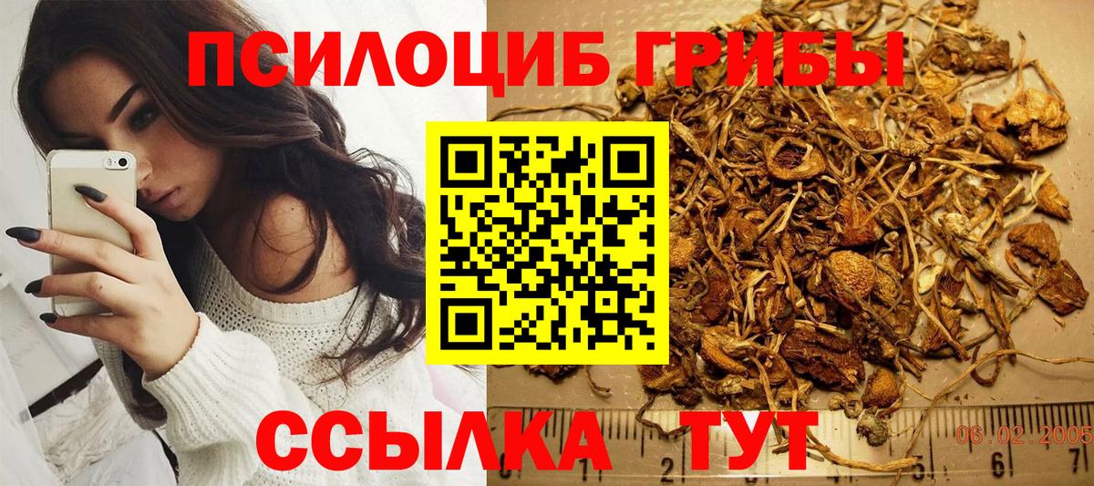 Галлюциногенные грибы Psilocybe Грязи